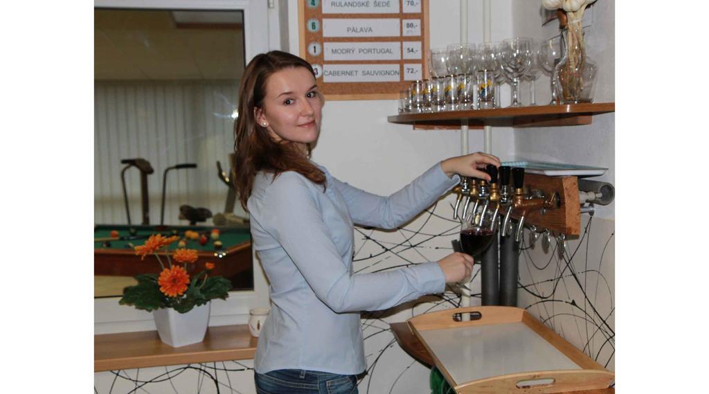 Bed & Breakfast Hostel Brünn  Kültér fotó